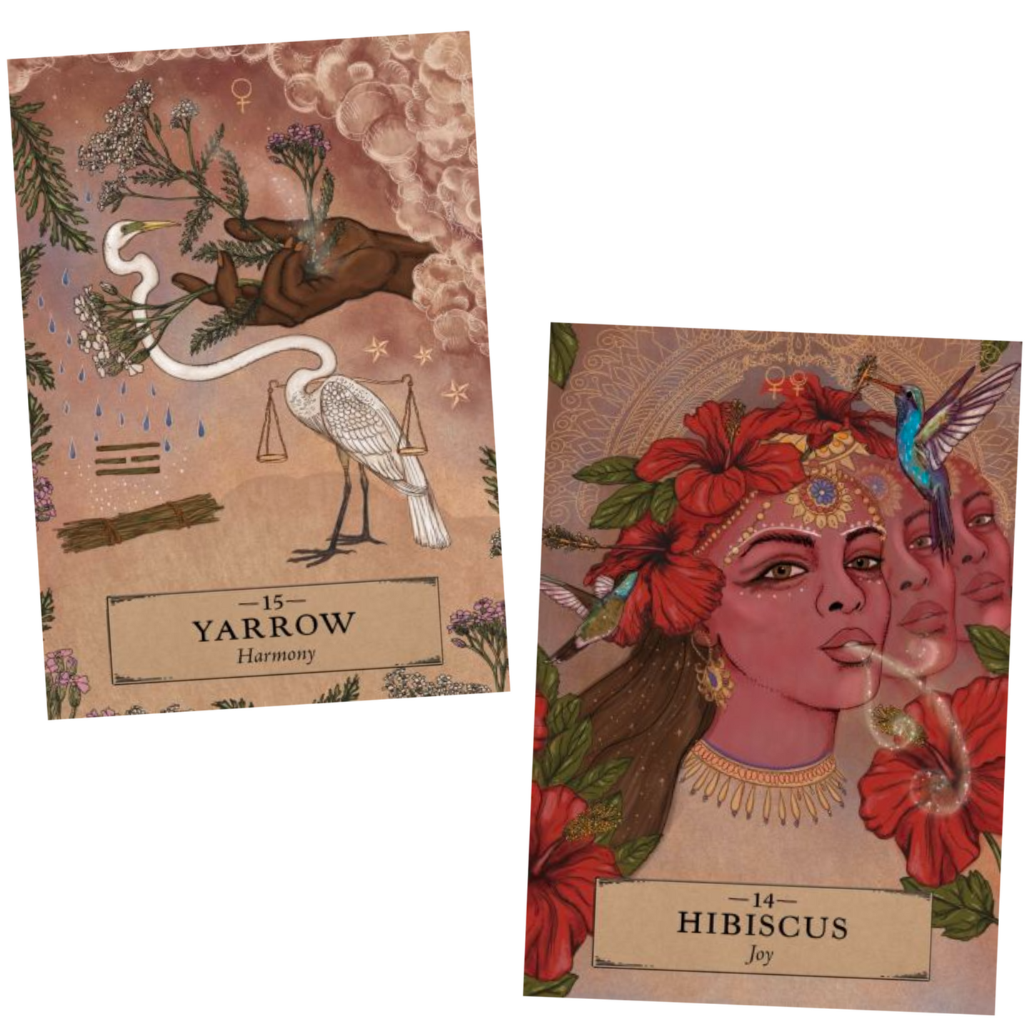 The Herbal Astrology Oracle