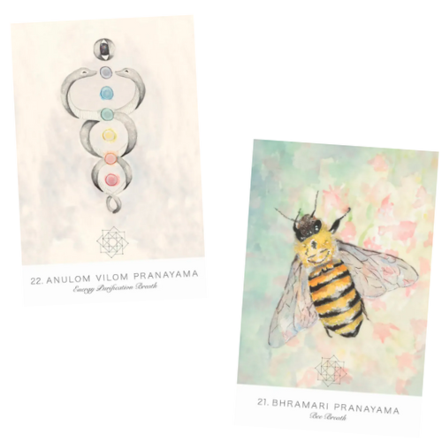 Land Sky Oracle: A Journey Through Patanjali's Eight Limbs of Yoga