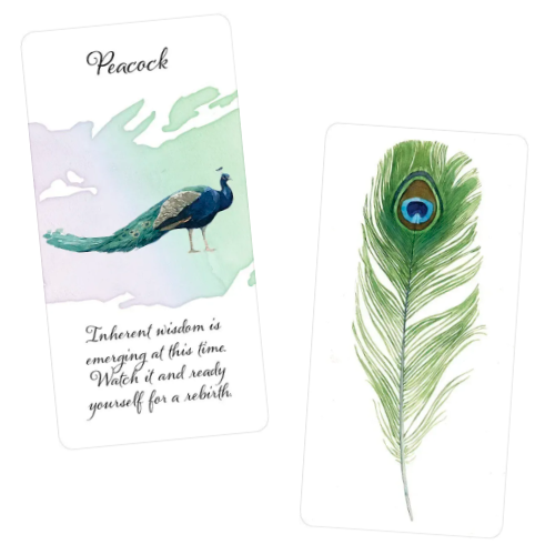 Divine Feather Messenger Oracle