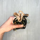Mini Mushroom Tarot Deck Bag, Drawstring Pouch, Pocket Tarot, Dice Rune Crystal Bag, Witchcraft & Wiccan Supplies Gift, Divination Tools